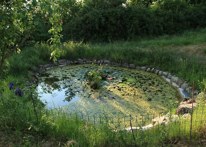 Alojamento de Turismo Rural Casina Di Cornia *